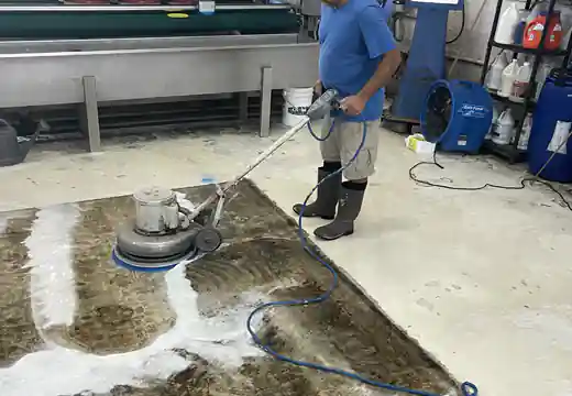 Persian Rug Cleaning Process Boca Raton