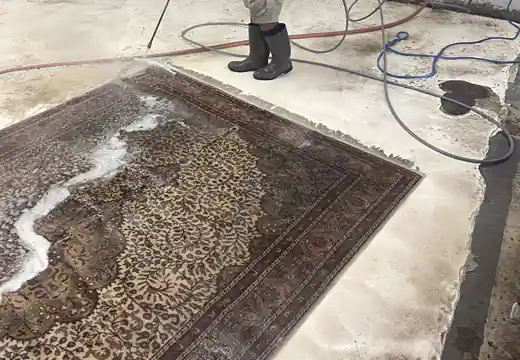 Rug Cleaning Process Boca Raton