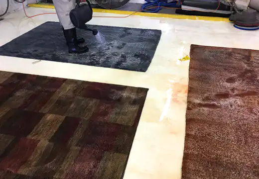 Area Rug Cleaning Service