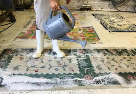 Modern Rug Cleaning Service