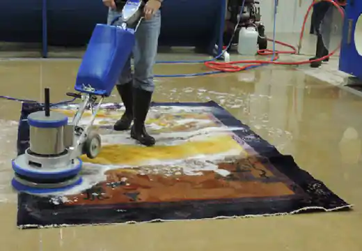 Oriental Rug Cleaning Process