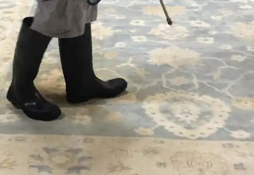 Oriental Rug Cleaning