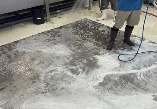 Rug Washing Process