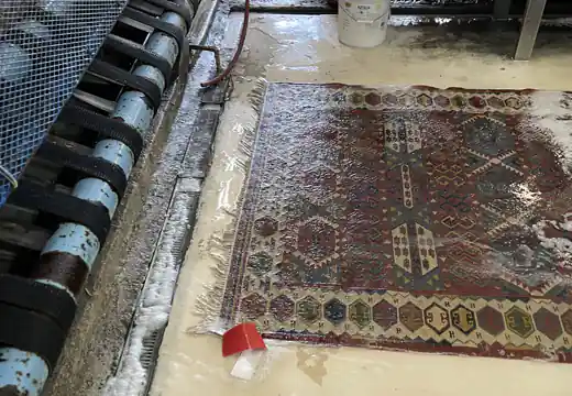 Professional Rug Cleaning Service West Palm Beach